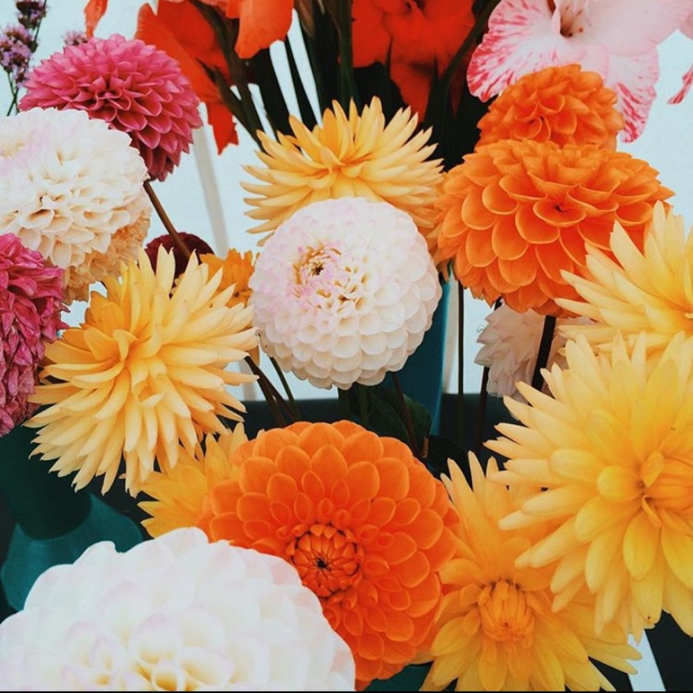 Offers welcome ♥️ Shop with confidence